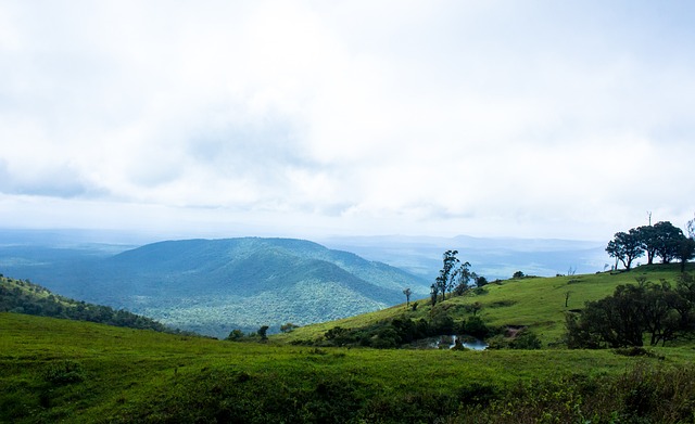 的关键球员 的关键球员