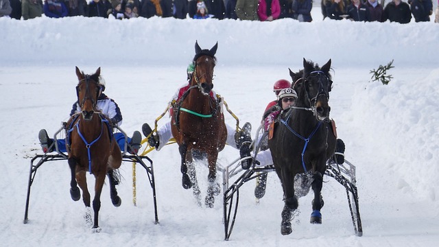 这场比赛 这场比赛