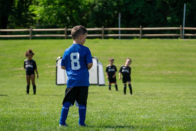 佈局無疑將 佈局無疑將