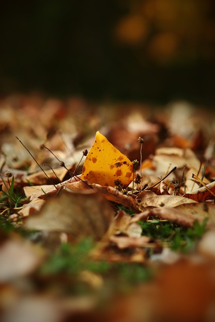 的模式是许 的模式是许