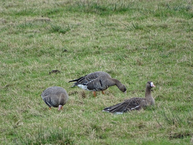 个性化训练 个性化训练