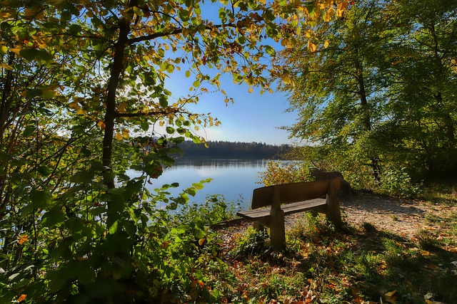 赛的敏锐嗅 赛的敏锐嗅